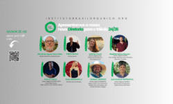 IBO anuncia nova diretoria para o triênio 2024/2026