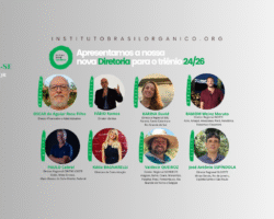 IBO anuncia nova diretoria para o triênio 2024/2026